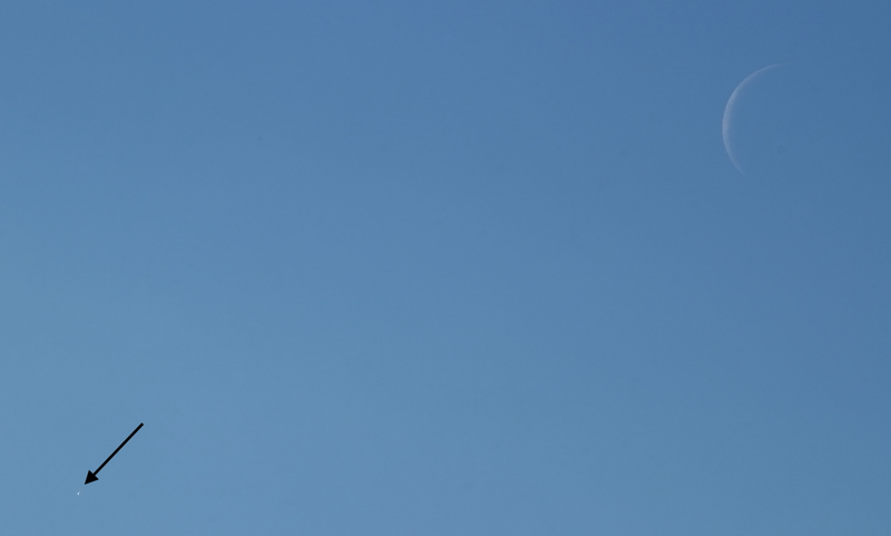 No, eso no es una mota de polvo en tu pantalla. ¡Es Venus!